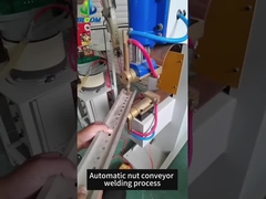 إطعام المكسرات التلقائي والحامض الفوري